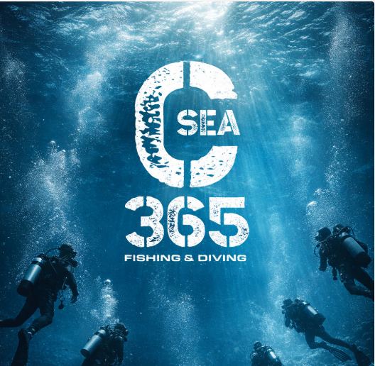 青い海へ挑戦するダイバーのイメージ